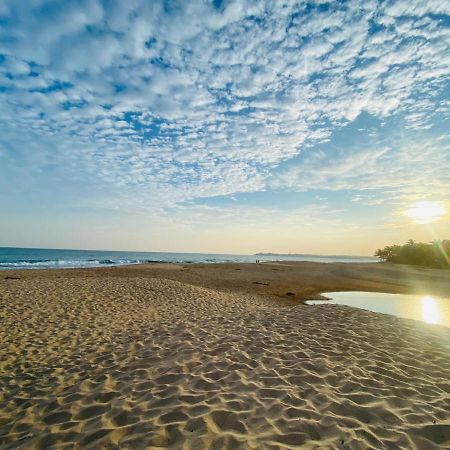 Eco Cabanas Marakolliya Tangalle Dış mekan fotoğraf