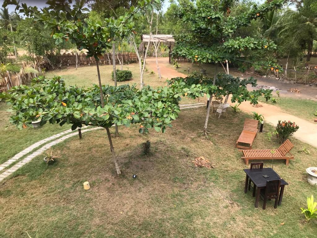 Eco Cabanas Marakolliya Tangalle Dış mekan fotoğraf