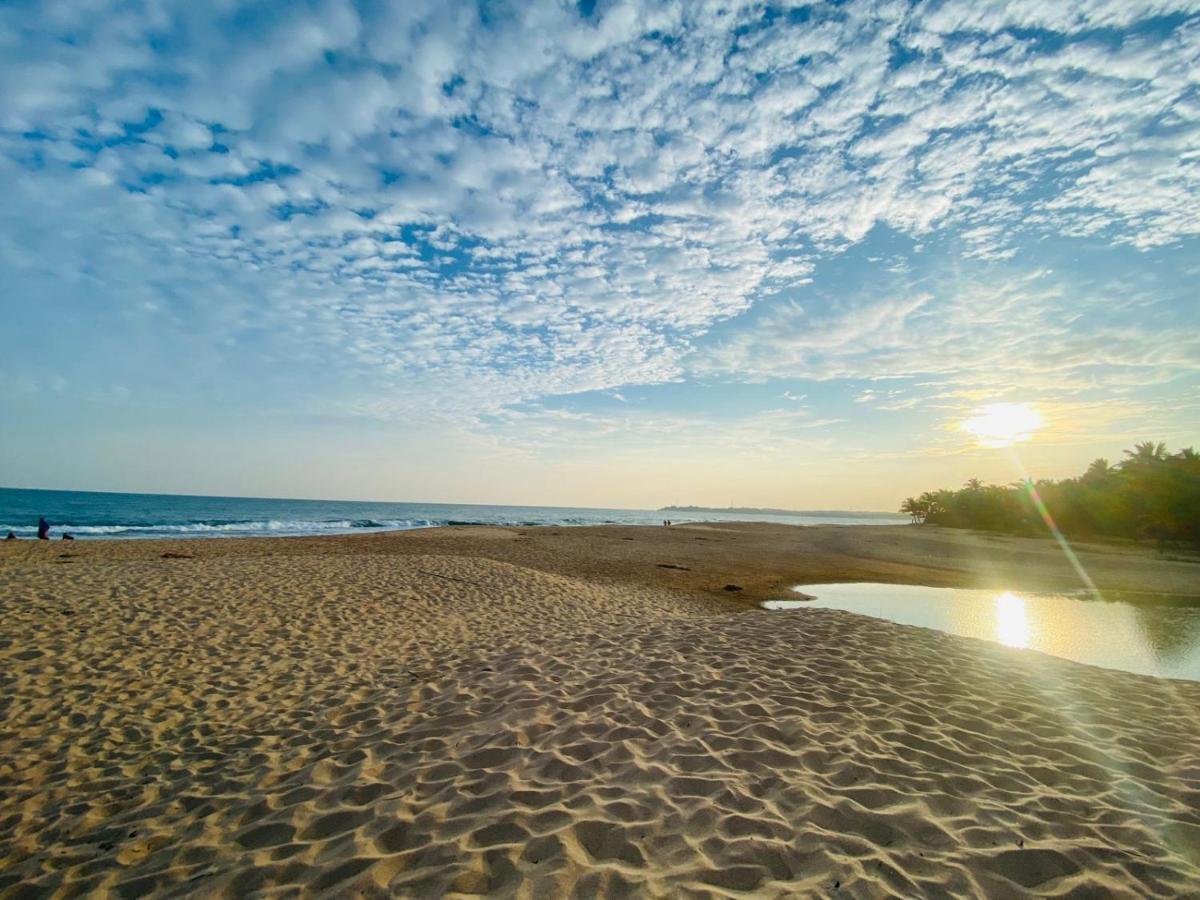 Eco Cabanas Marakolliya Tangalle Dış mekan fotoğraf
