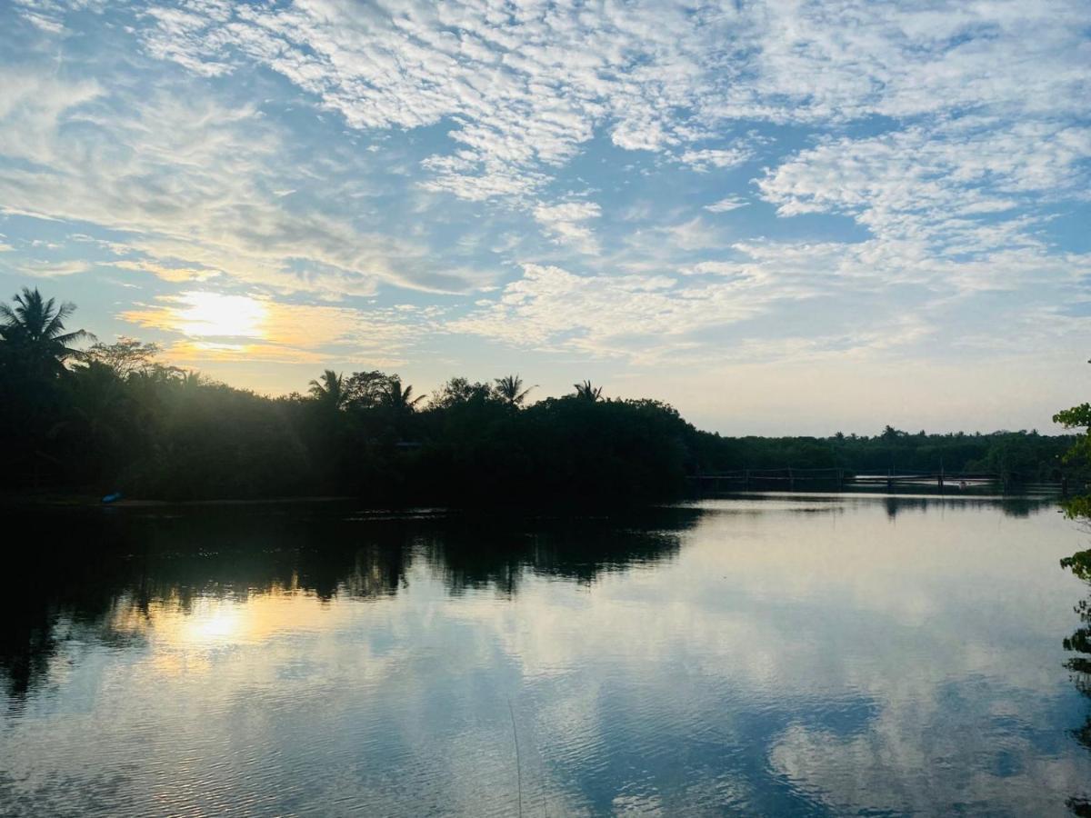 Eco Cabanas Marakolliya Tangalle Dış mekan fotoğraf