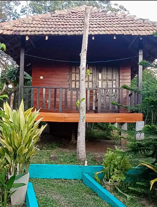 Eco Cabanas Marakolliya Tangalle Oda fotoğraf